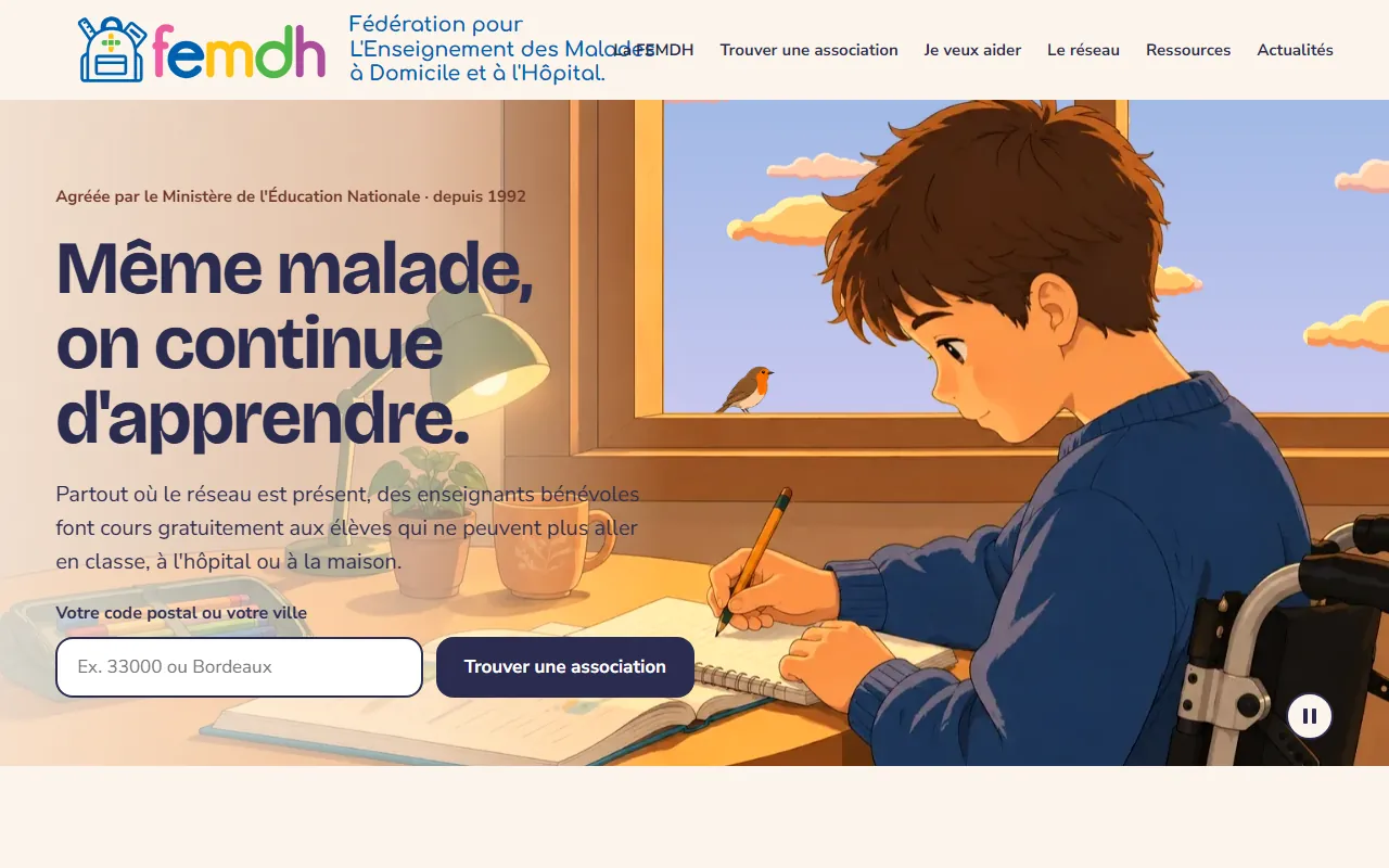 Capture du projet de refonte du site de la FEMDH