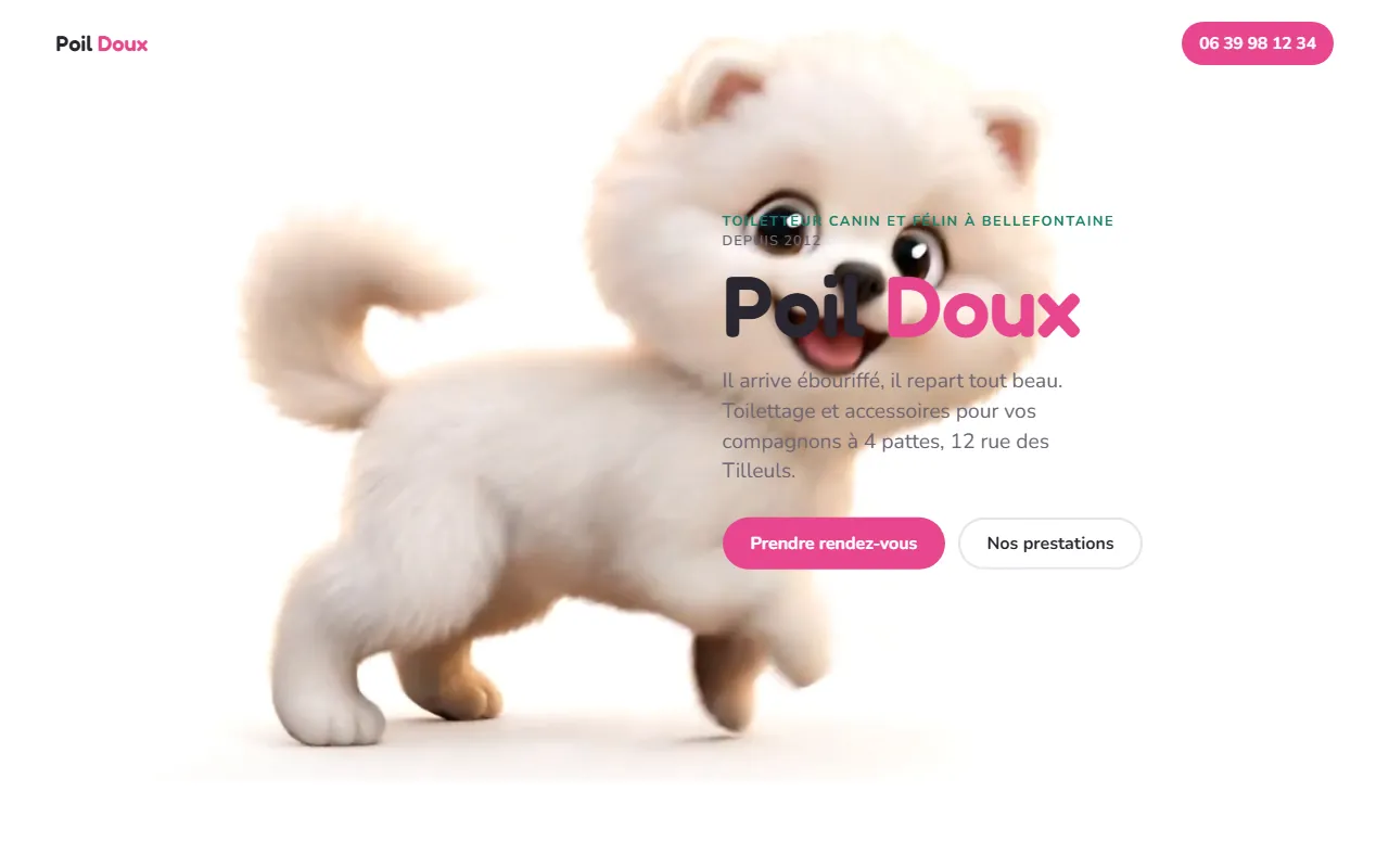 Capture du site Poil Doux